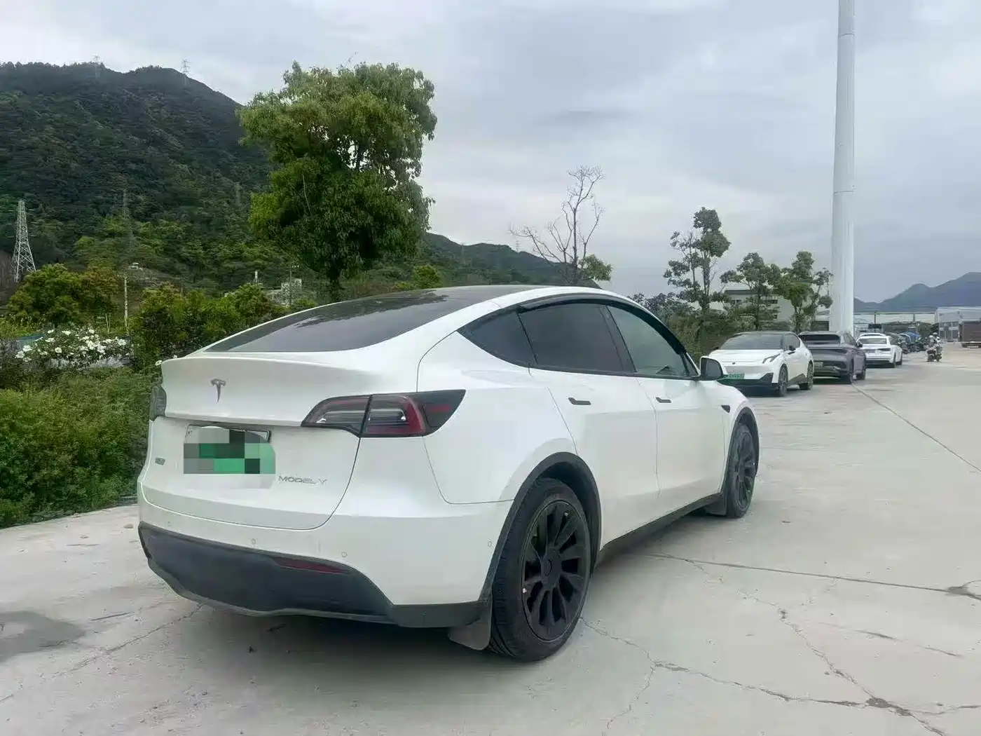 TESLA MODEL Y