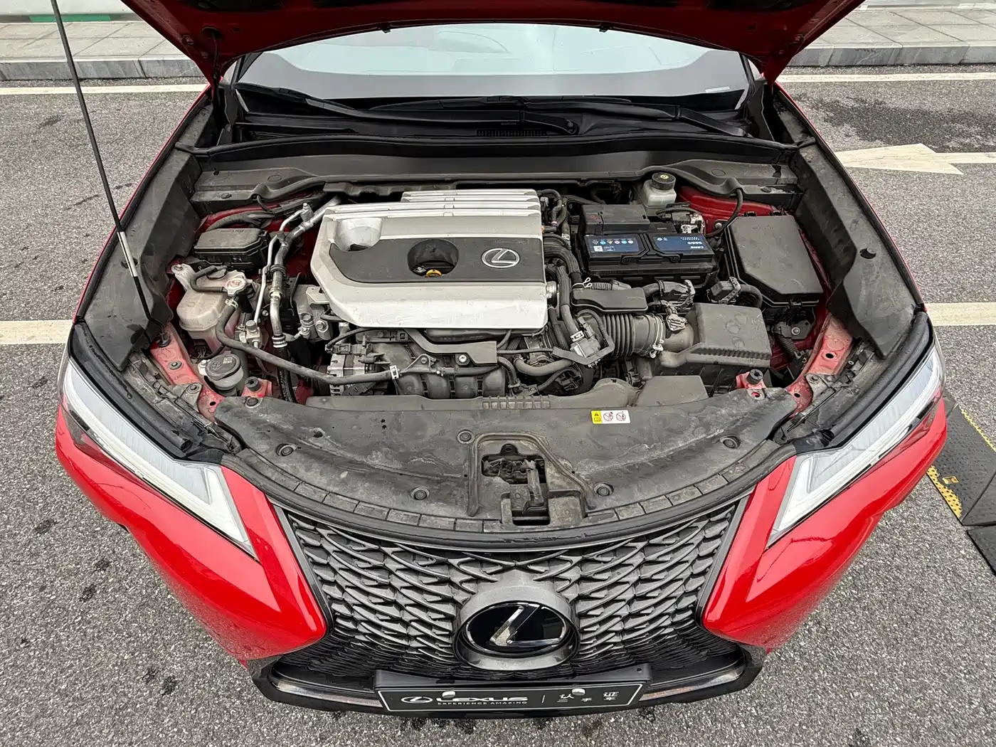Lexus UX 2020 200 F SPORT Edition фото 12