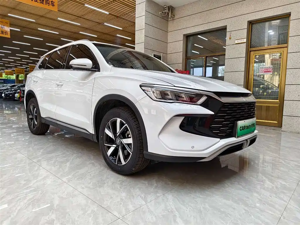 BYD Song Pro New Energy 2024 Glory Edition DM-i 71KM Pilot фото 2