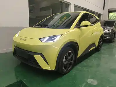BYD Seagull