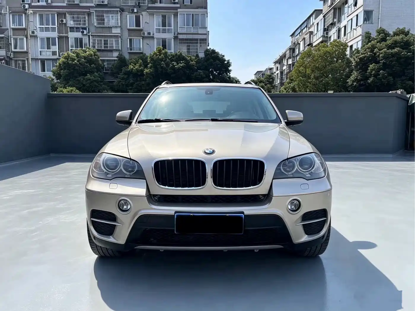 BMW X5 (Import) 2013 xDrive35i Leading фото 2