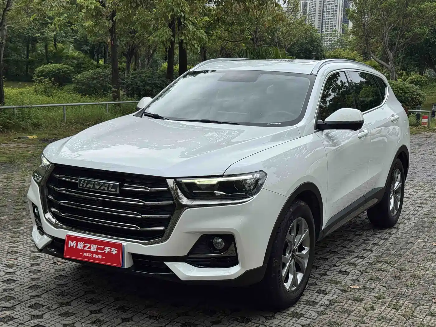  Haval Haval H6 2021 National Trend Edition 1.5GDIT Automatic Champion Edition