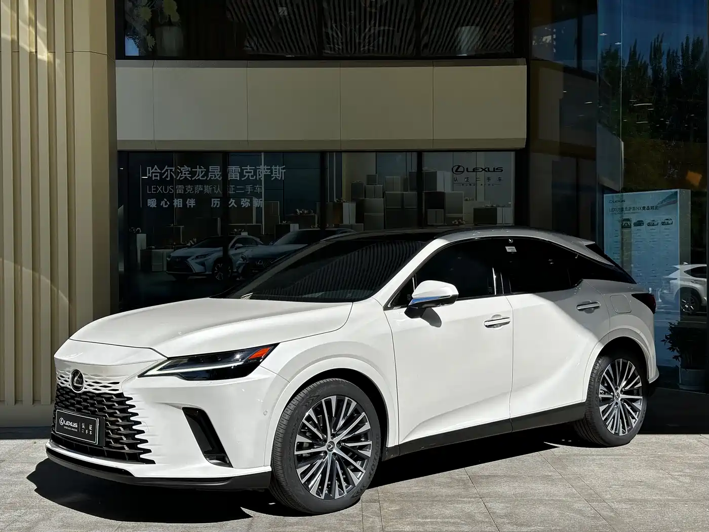 Lexus RX New Energy 2023 450h+ 4WD Enjoyment