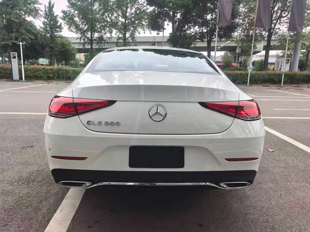 Mercedes-Benz CLS 2021 CLS 300 Sport фото 7