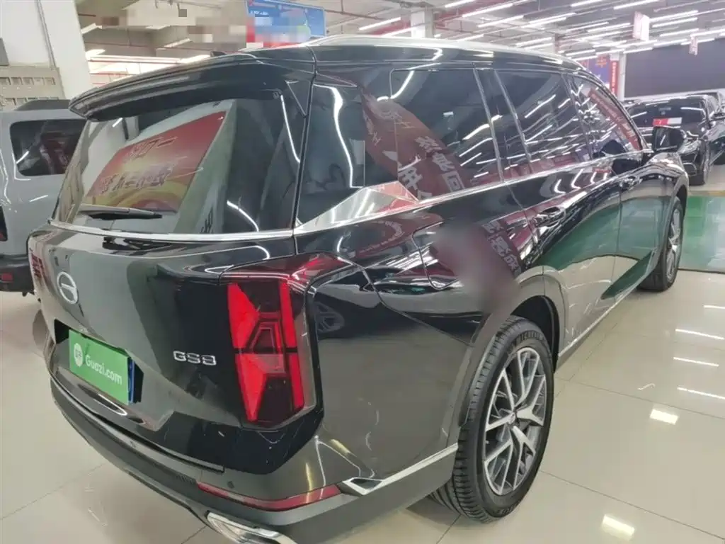 GAC Trumpchi Trumpchi GS8 2024 Navigator Series 2.0TGDI 2WD Luxury Smart Connect Edition фото 7