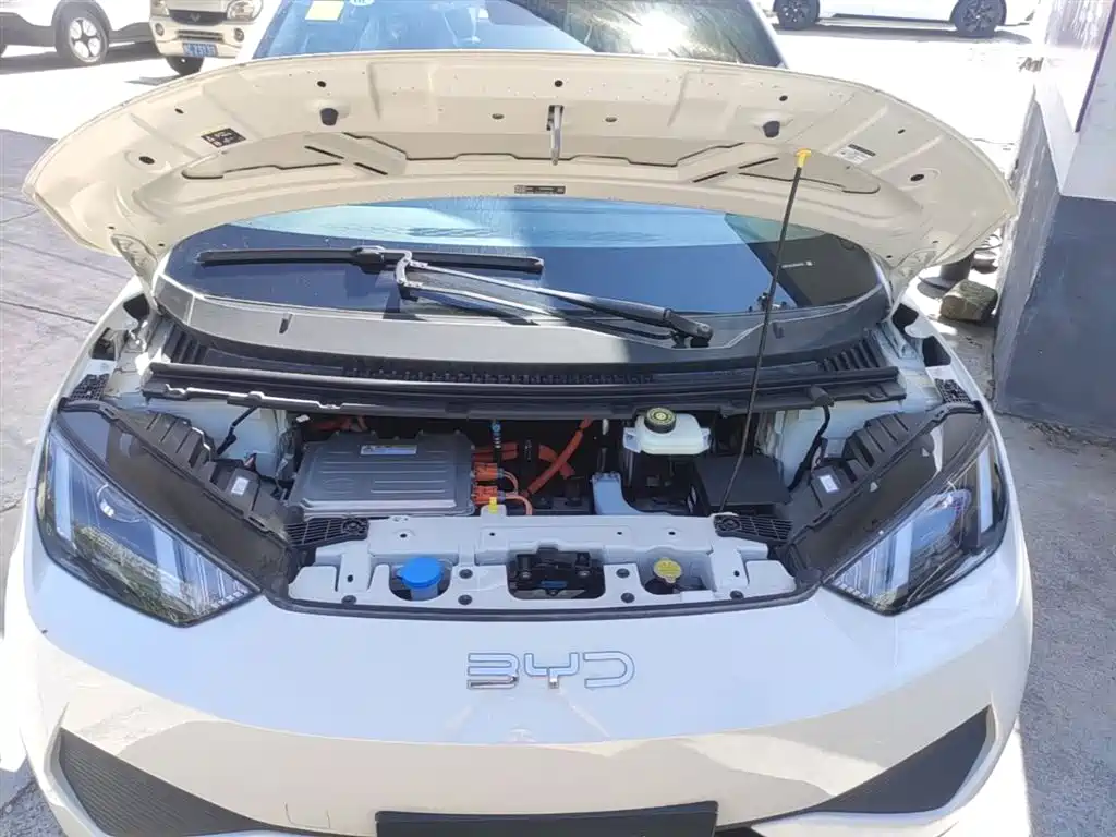 BYD Seagull 2025 Smart Drive Edition 305km Vitality Version фото 20