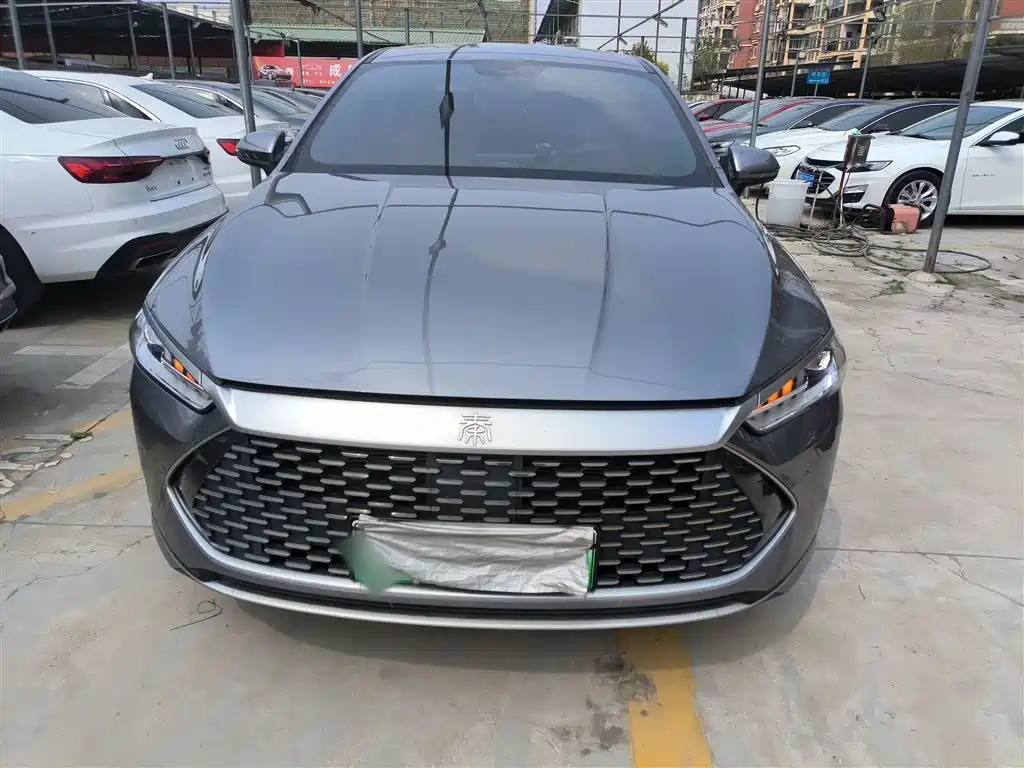 BYD Qin PLUS 2024 Glory Edition DM-i 55KM Leading фото 3