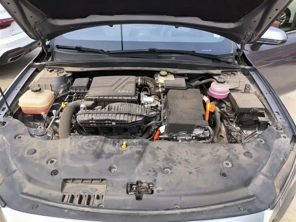 BYD Qin PLUS 2024 Glory Edition DM-i 55KM Leading фото 20