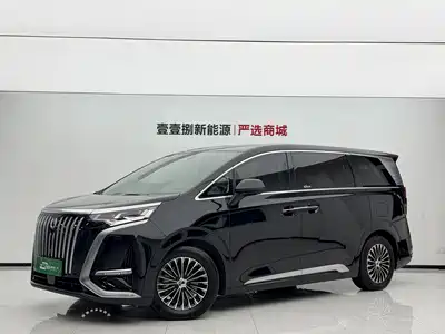Denza D9