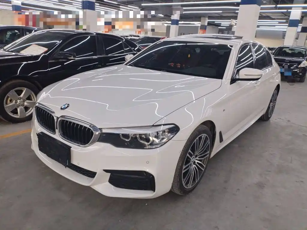BMW 5 Series 2019 530Li Leading M Sport Package