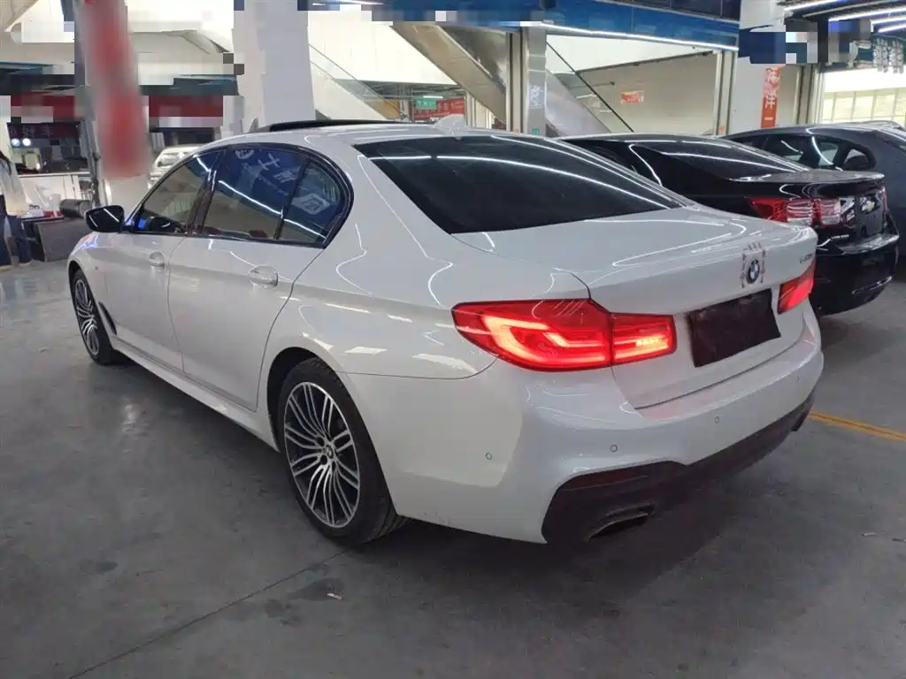 BMW 5 Series 2019 530Li Leading M Sport Package фото 5