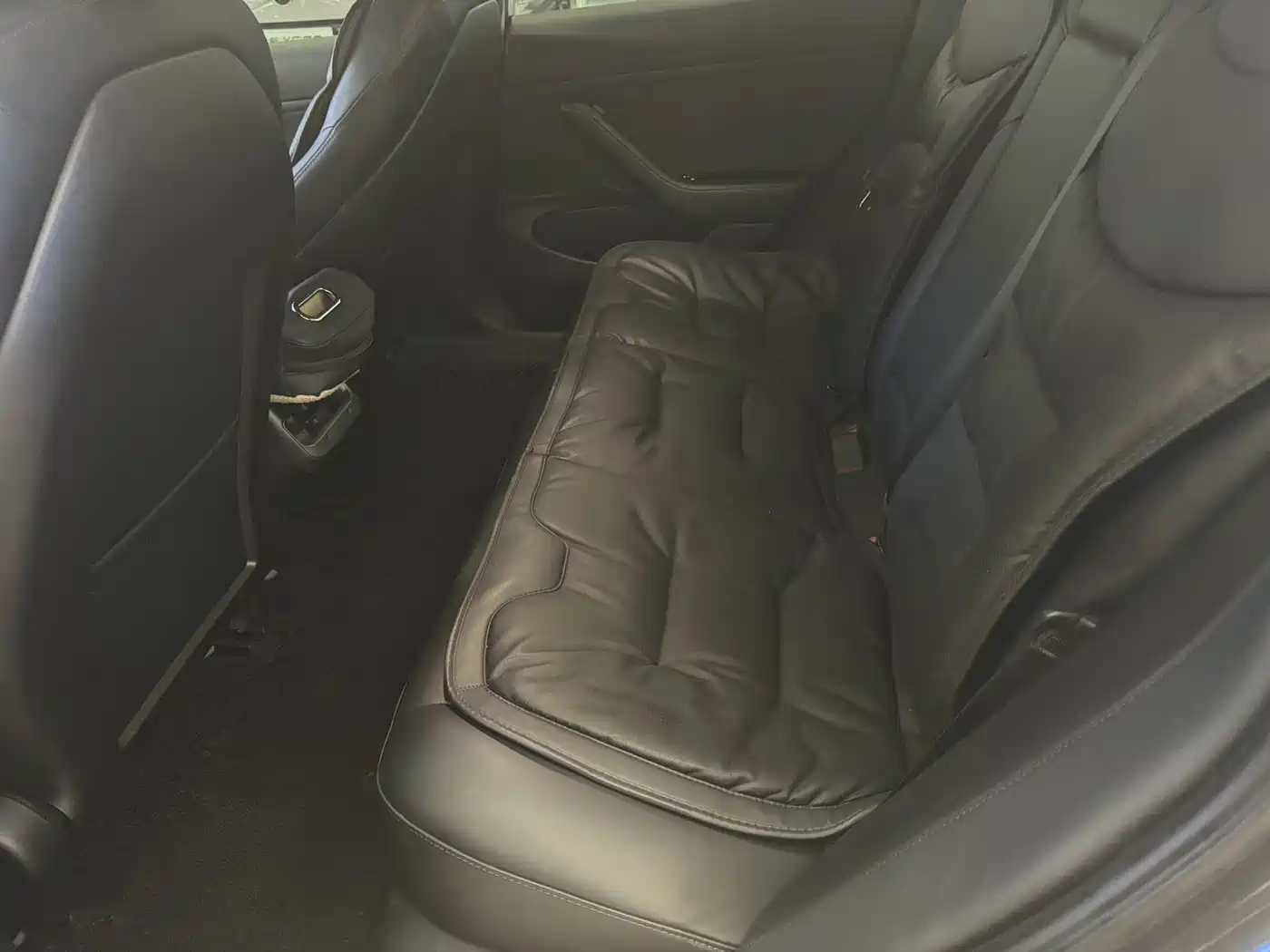 Tesla Model 3 2020 Facelift Standard Range RWD Upgrade фото 5
