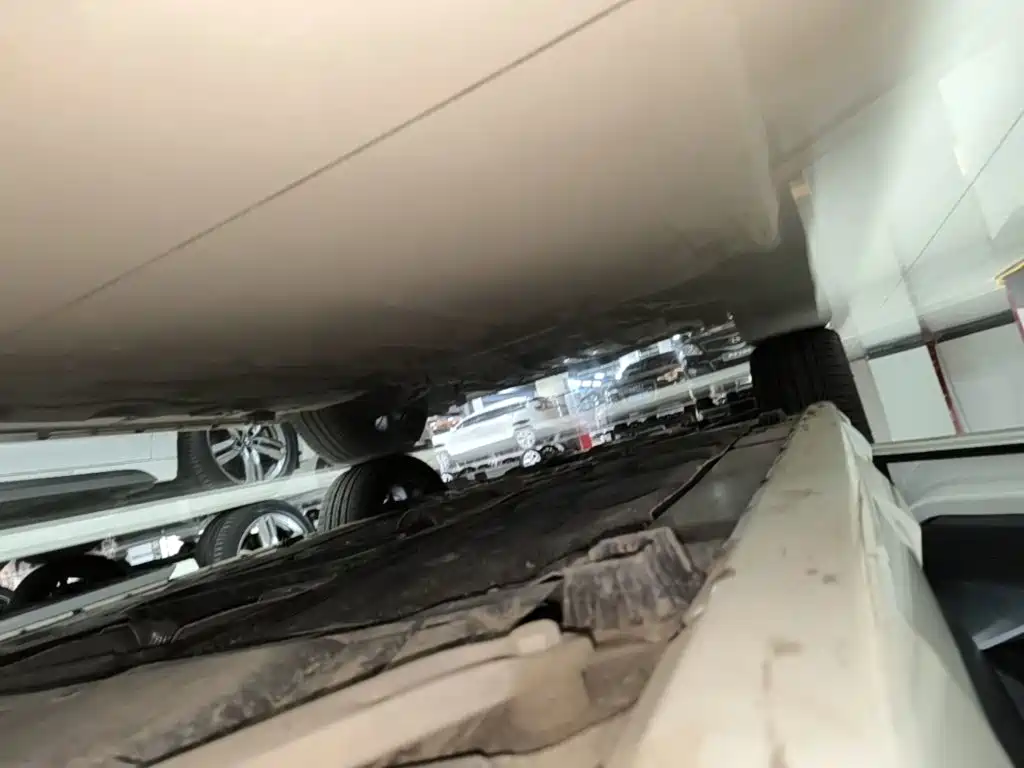 BMW X2 (Import) 2019 2019 sDrive20i M Off-Road Package China VI