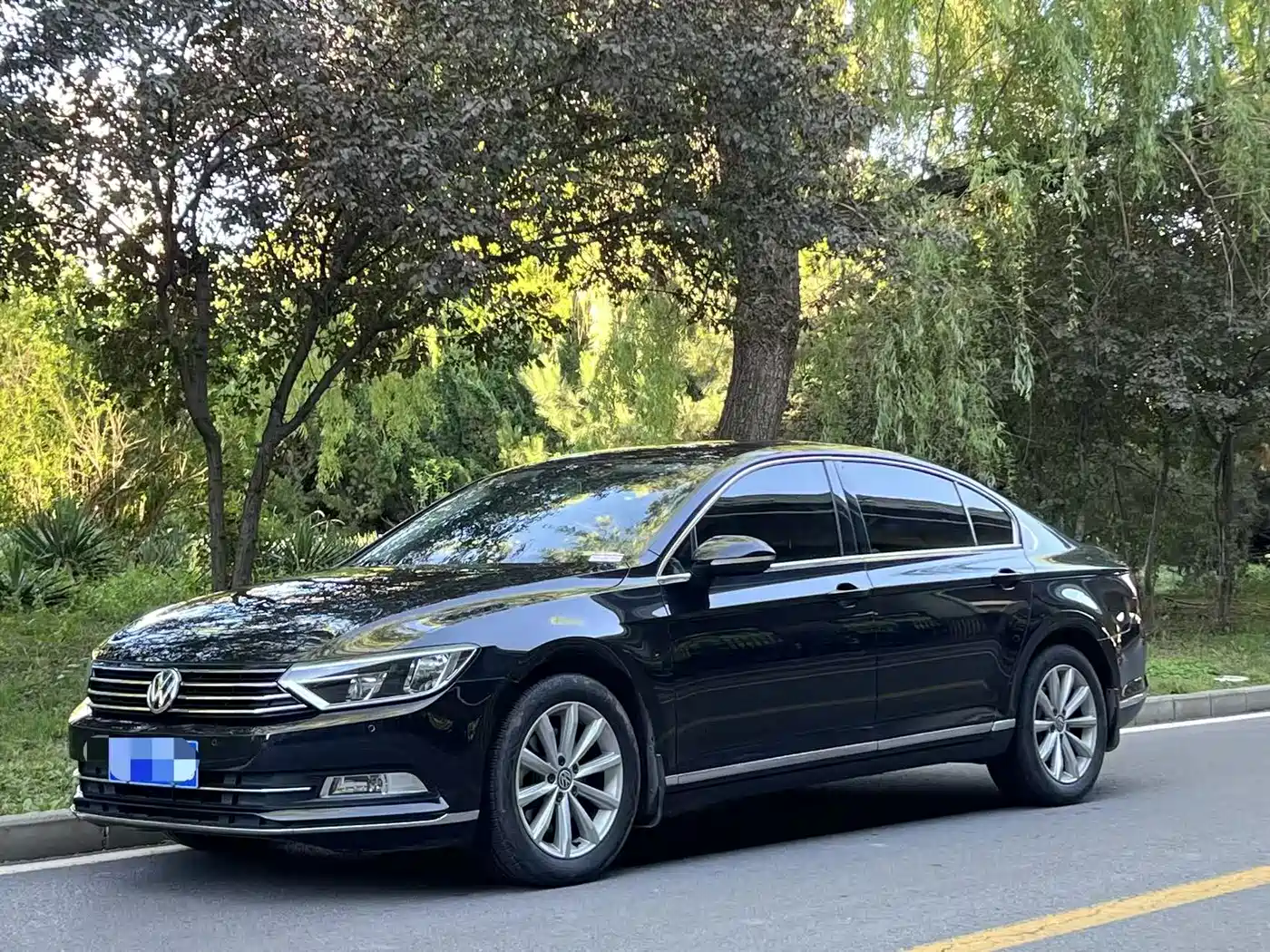 Volkswagen Magotan 2017 330TSI DSG Leading