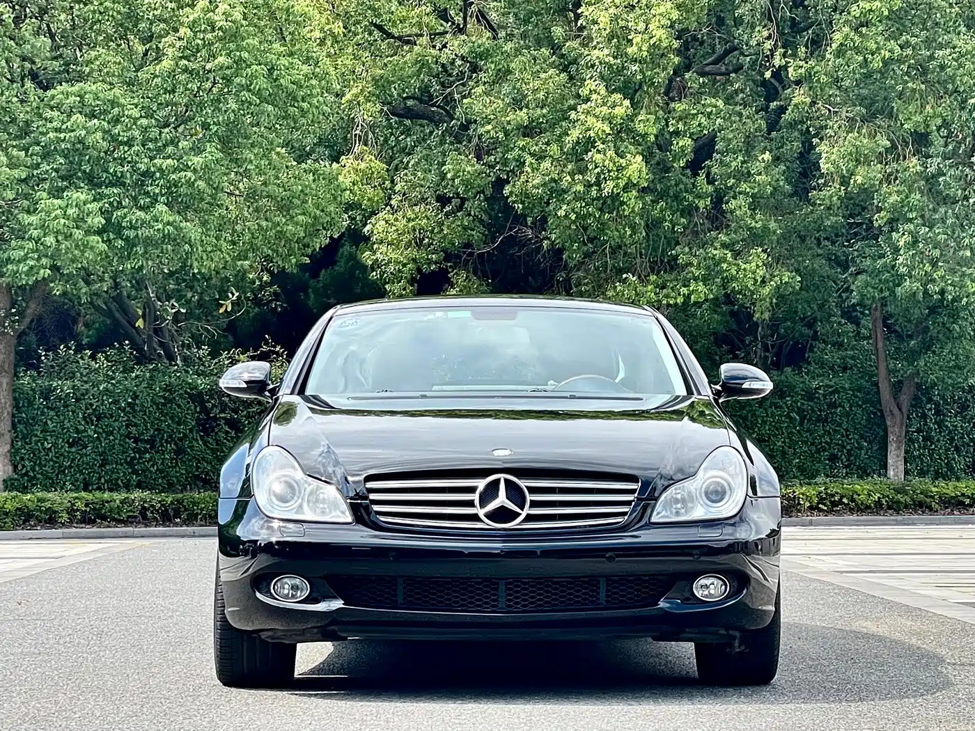 Mercedes-Benz CLS 2008 CLS 500 фото 2