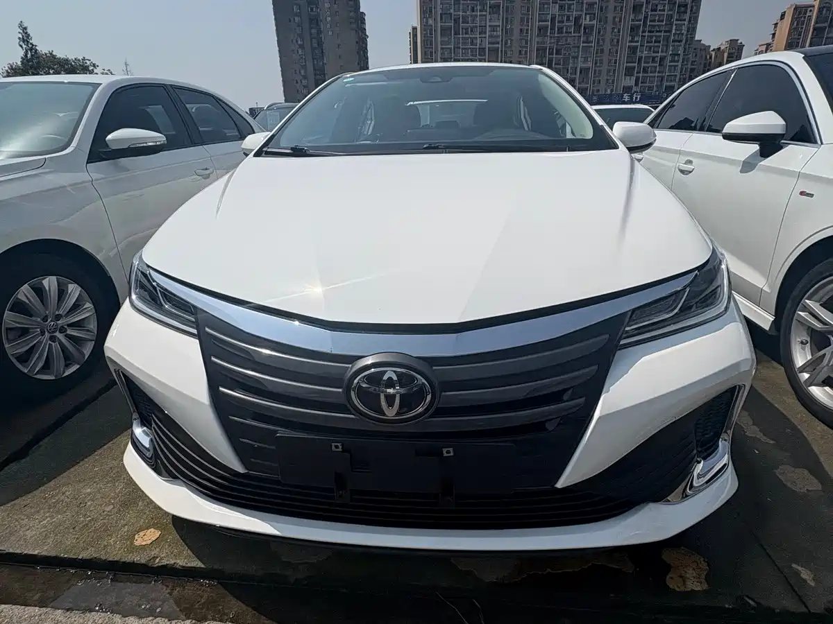 TOYOTA ASIAN LION
