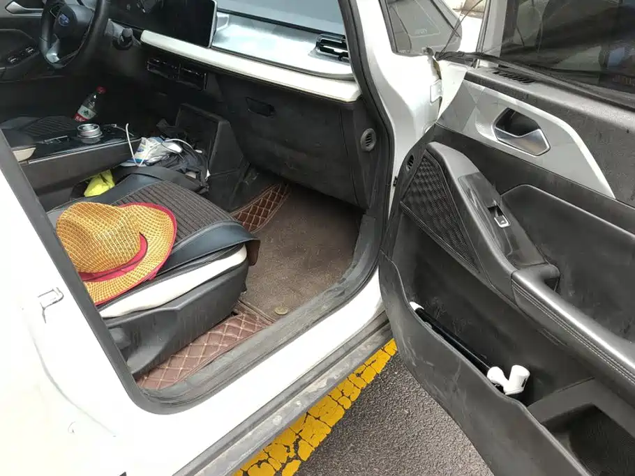 Geely Geometry E Firefly 2022 2022 401KM Delicate Tiger 4-seater