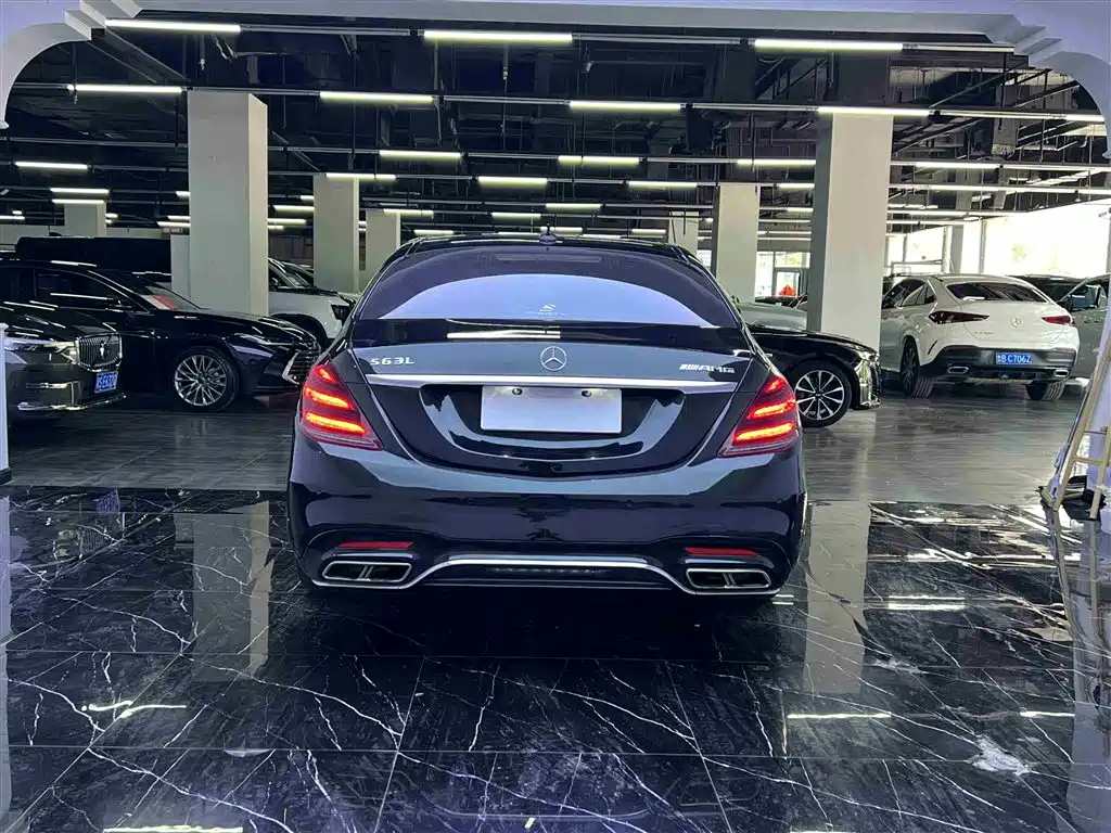 Mercedes-Benz S-Class 2014 S 500 L фото 26