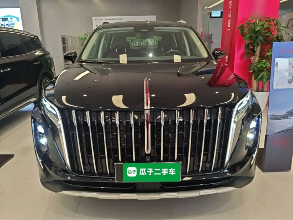 Фото 3 - Hongqi HS7 PHEV