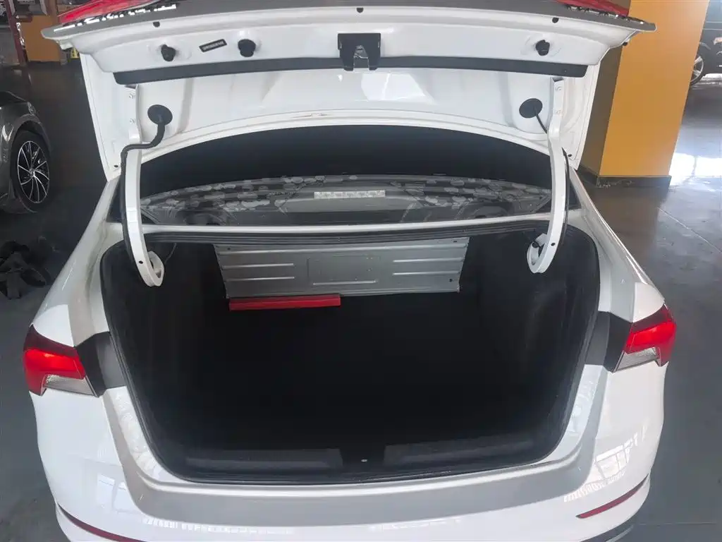 Škoda Rapid 2020 1.5L Automatic Comfort Edition фото 15