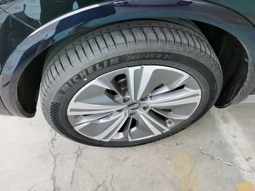 Hongqi E-HS9 2023 2021 460km Flagship Comfort 6-seater