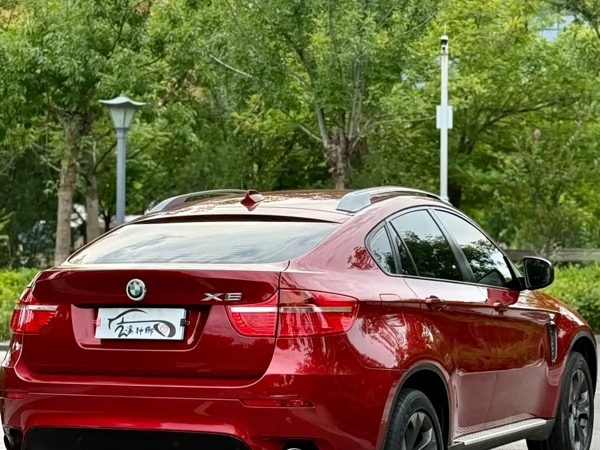 BMW X6 2010 2009 xDrive35i