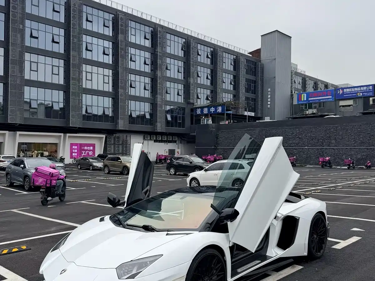 Lamborghini Aventador 2011 LP 700-4 фото 16