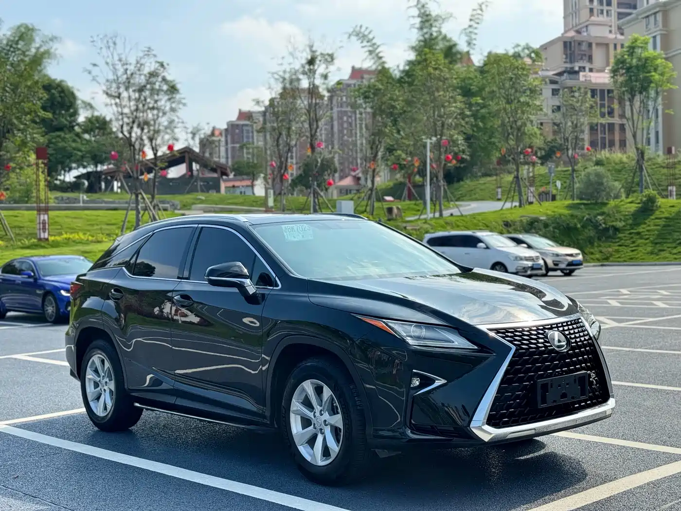 Lexus RX 2016 300 2WD Elite Edition (China V) фото 3