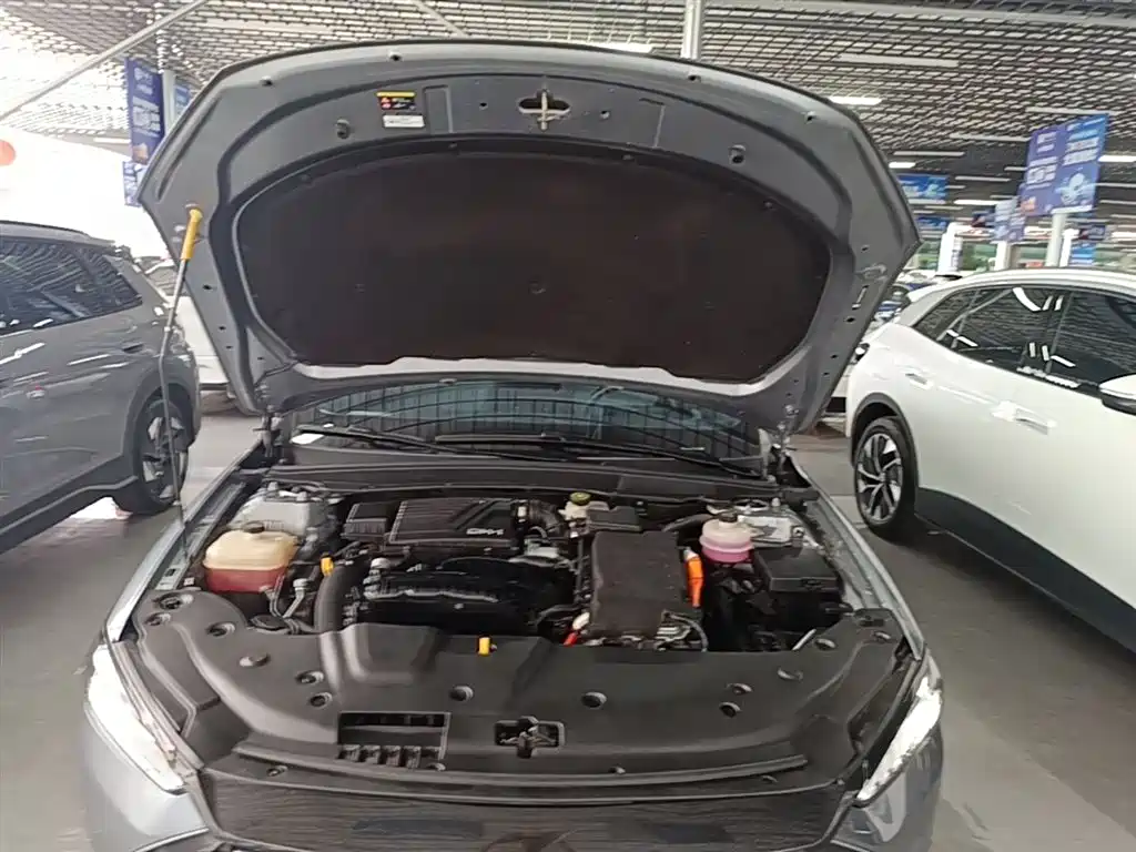 BYD Qin PLUS 2021 DM-i 120KM Flagship фото 20