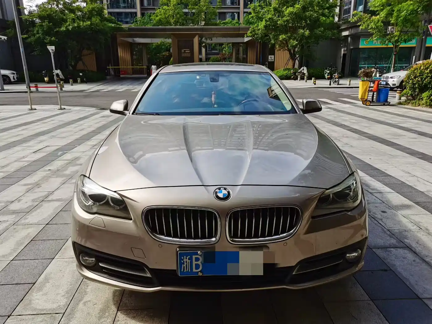 BMW 5 Series 2014 520Li Elegance фото 2