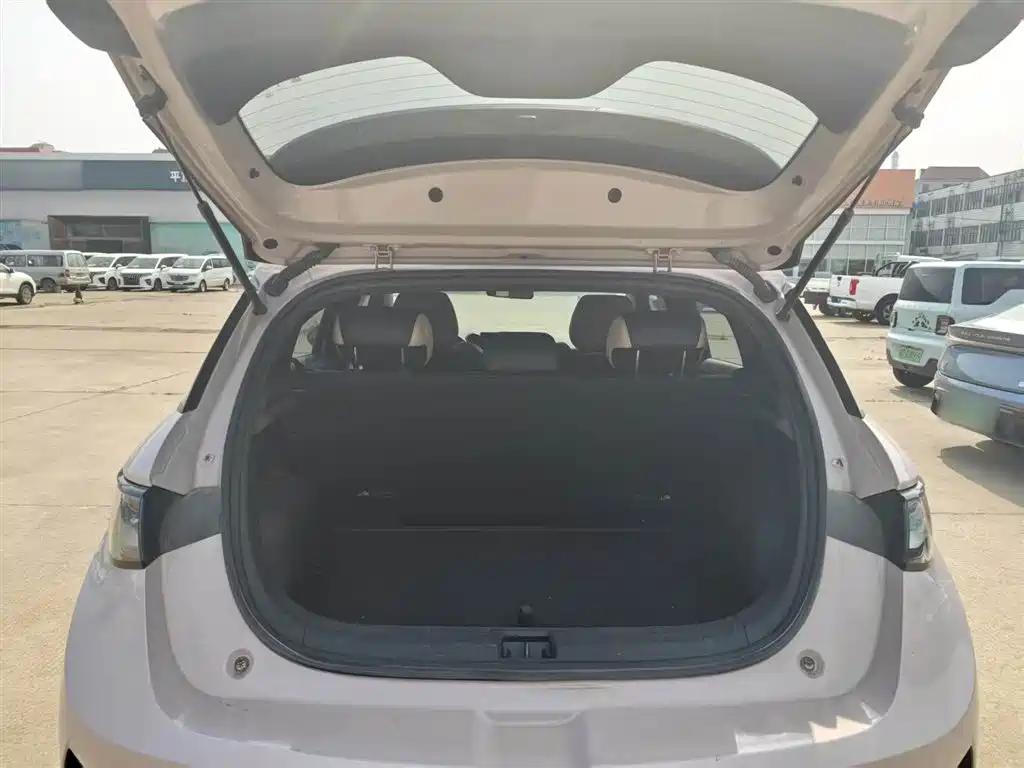 BYD Dolphin 2025 Smart Drive Edition 410km Fashion Version фото 15