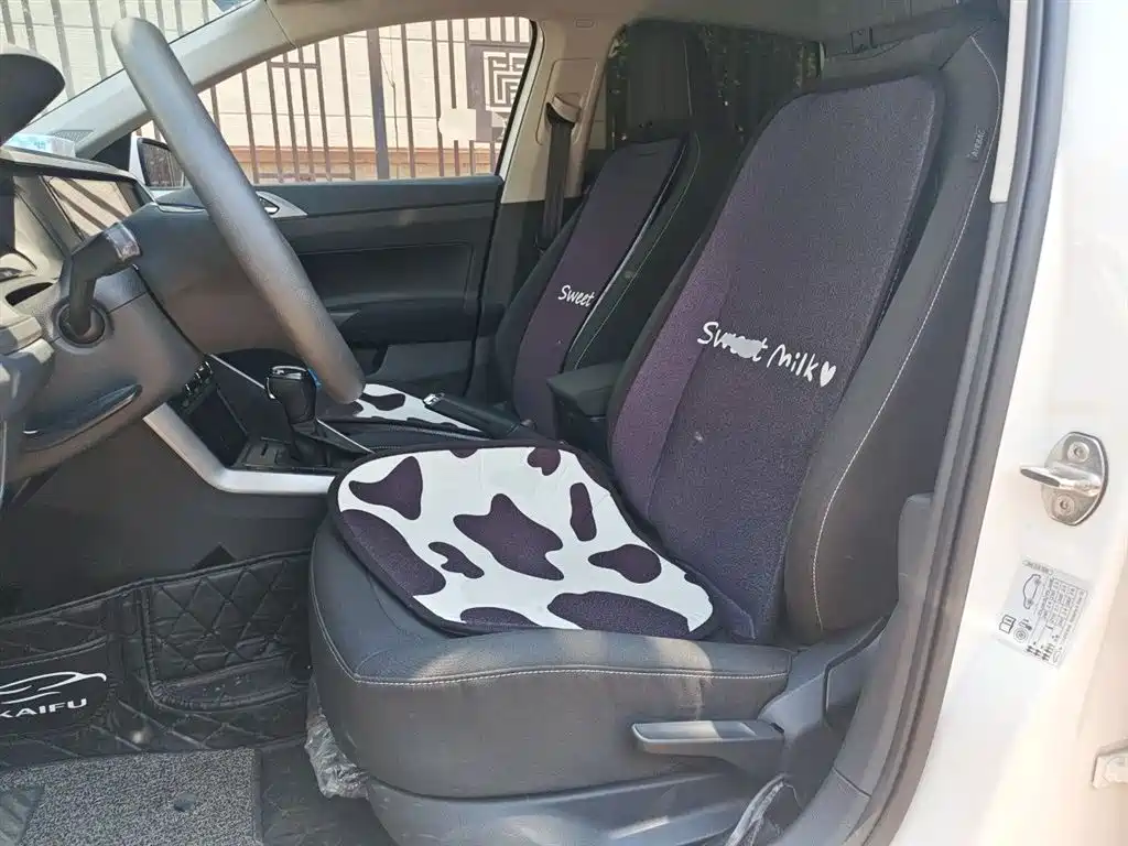 Volkswagen Polo 2019 Plus 1.5L Automatic Panorama Enjoyment Edition фото 11