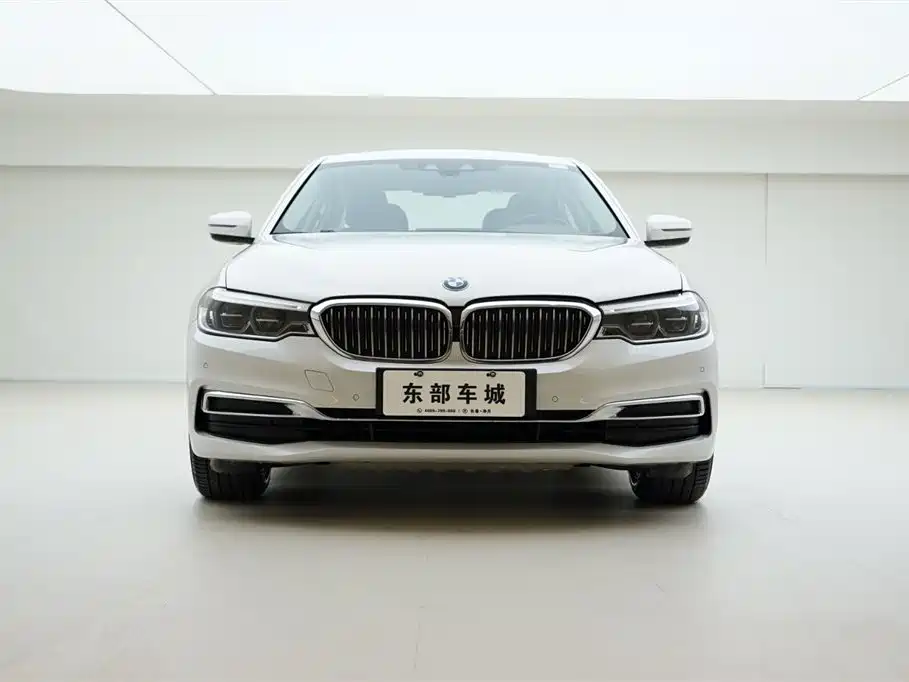 BMW 5 Series New Energy 2020 530Le Range Upgrade Luxury Package фото 2