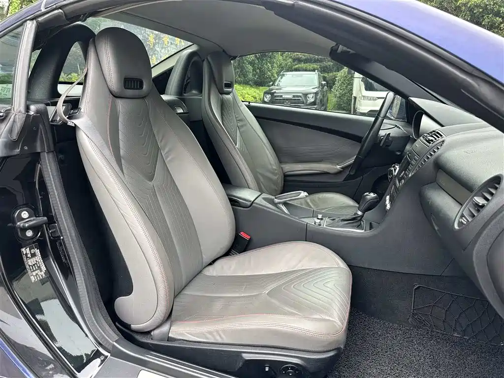 Mercedes-Benz SLK-Class 2010 Model SLK 300 Grand Edition фото 6