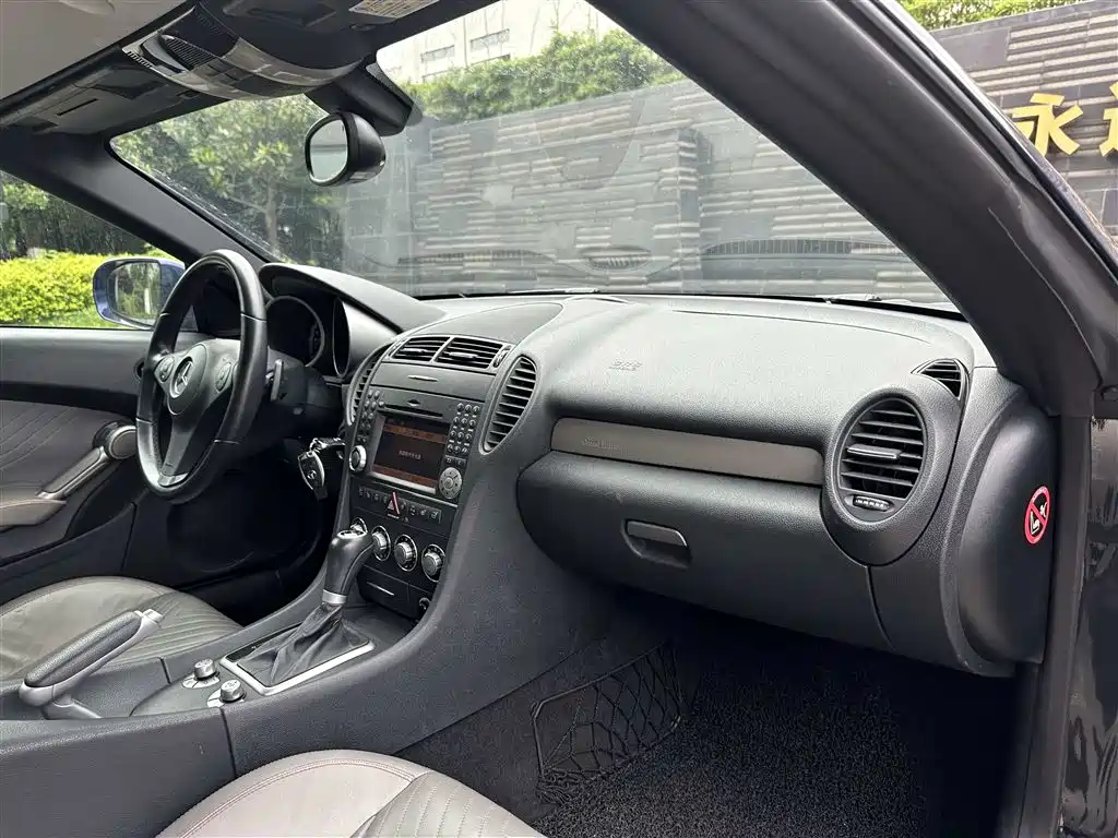 Mercedes-Benz SLK-Class 2010 Model SLK 300 Grand Edition фото 7