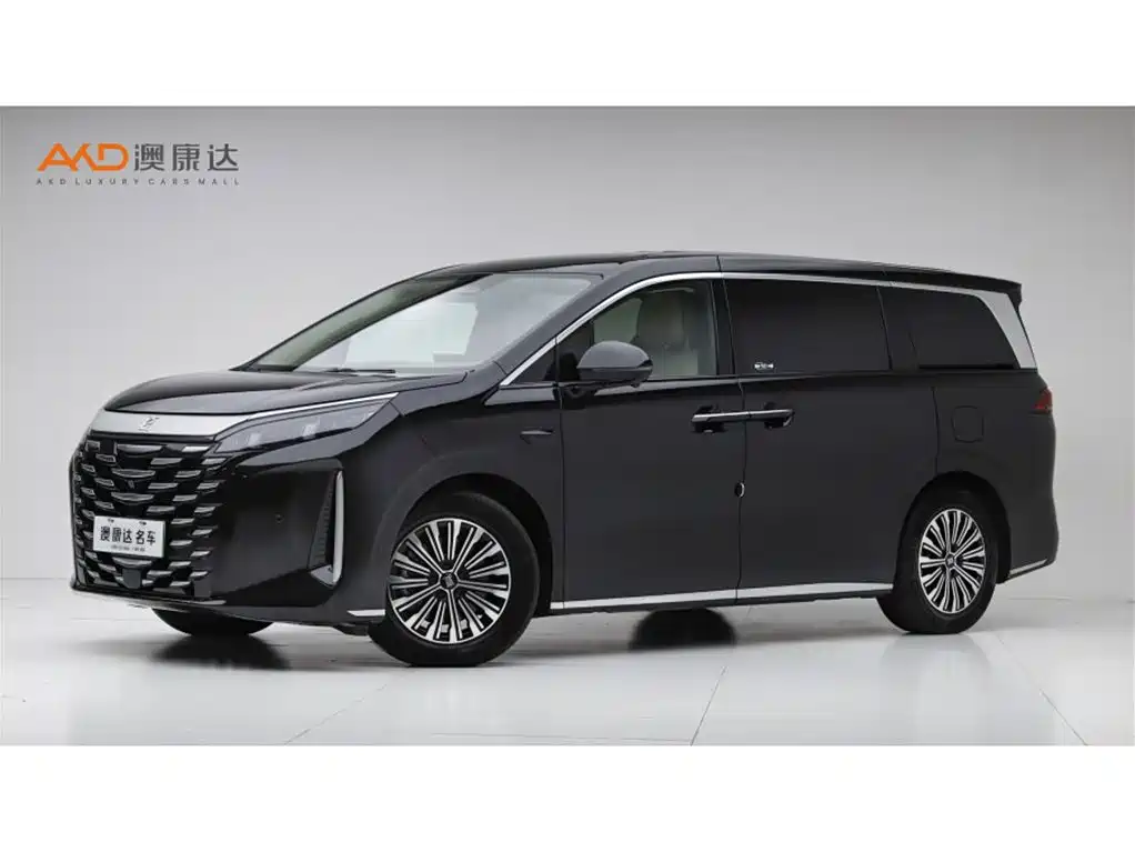 BYD Xia 2025 DM-i 1.5T 180km Surpass Edition
