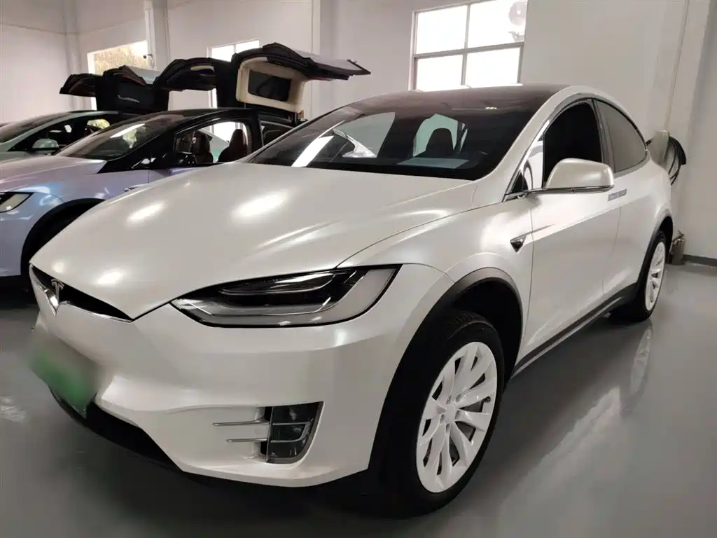 TESLA MODEL X 2019
