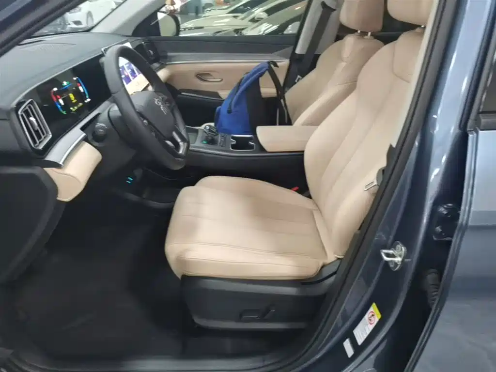 BYD Song Pro New Energy 2025 2nd Gen DM-i 75KM Leading Type фото 15