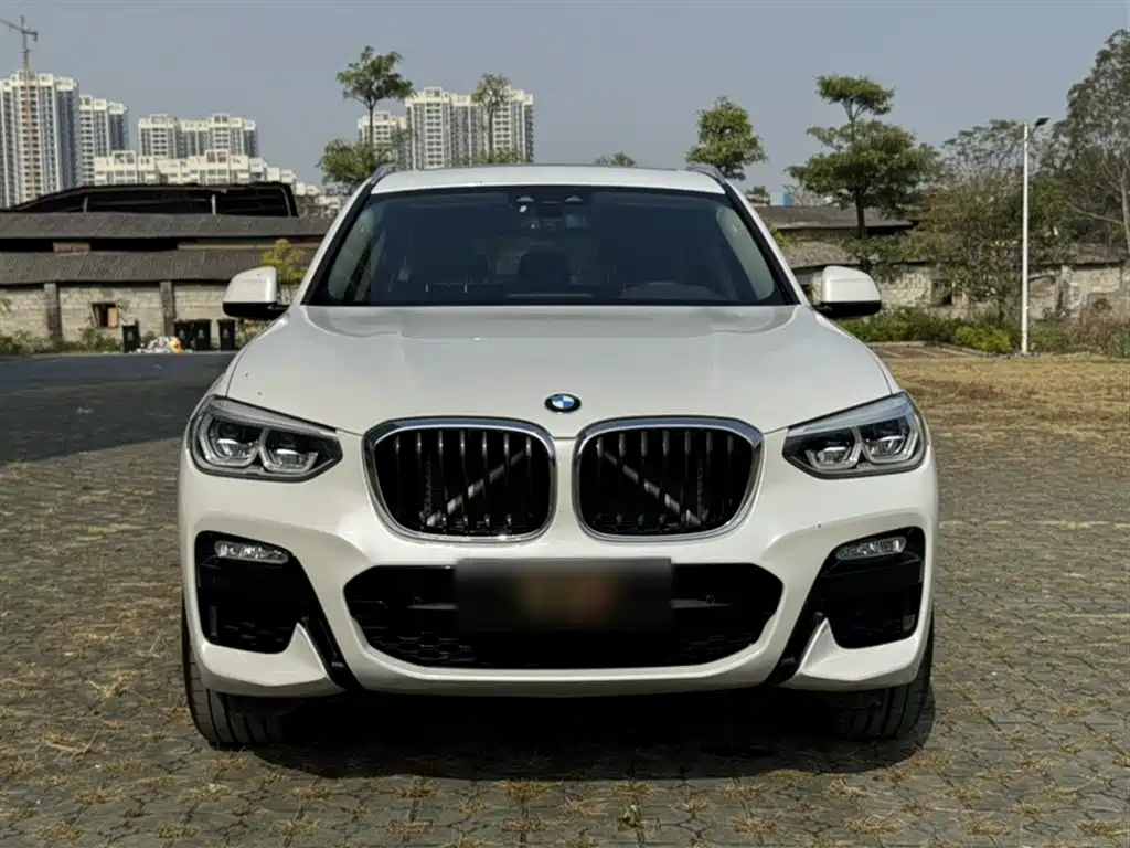 BMW X3 2018 xDrive28i M Sport Package China VI фото 3