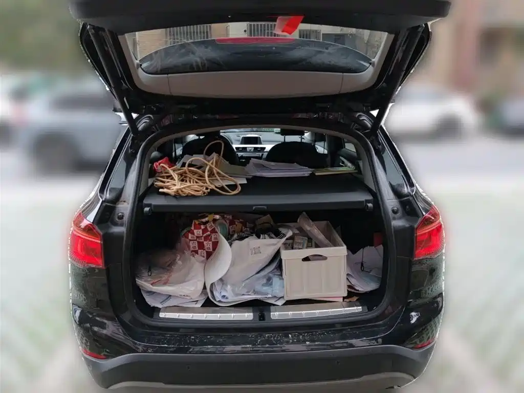BMW X1 2018 sDrive20Li Leading Model фото 10