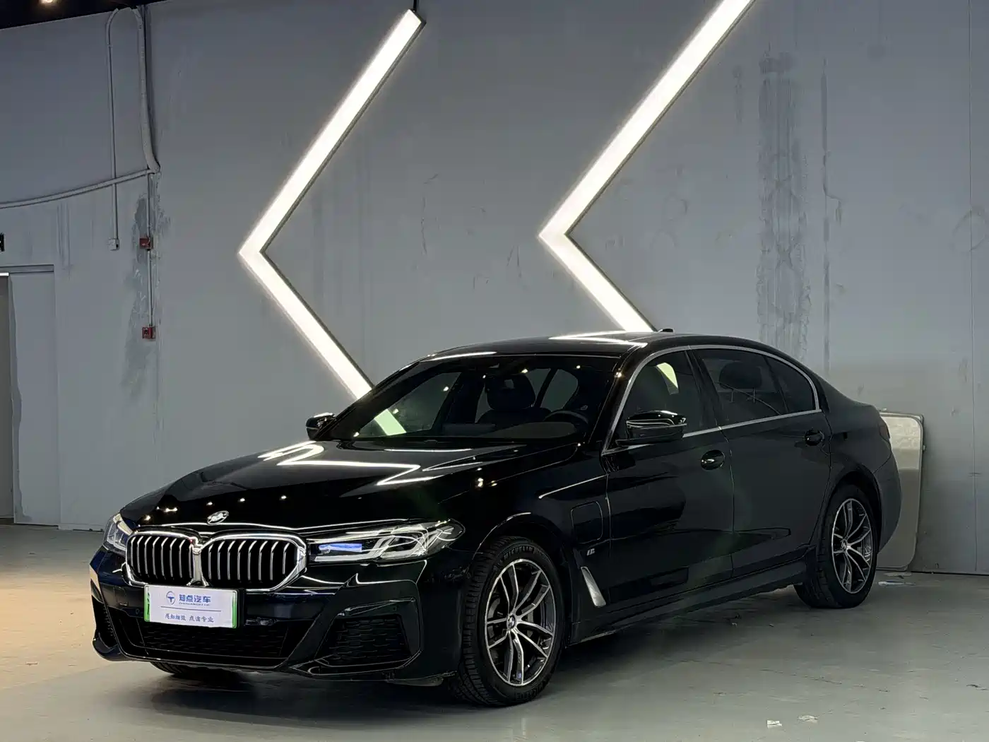 BMW 5 Series New Energy 2021 535Le M Sport Package