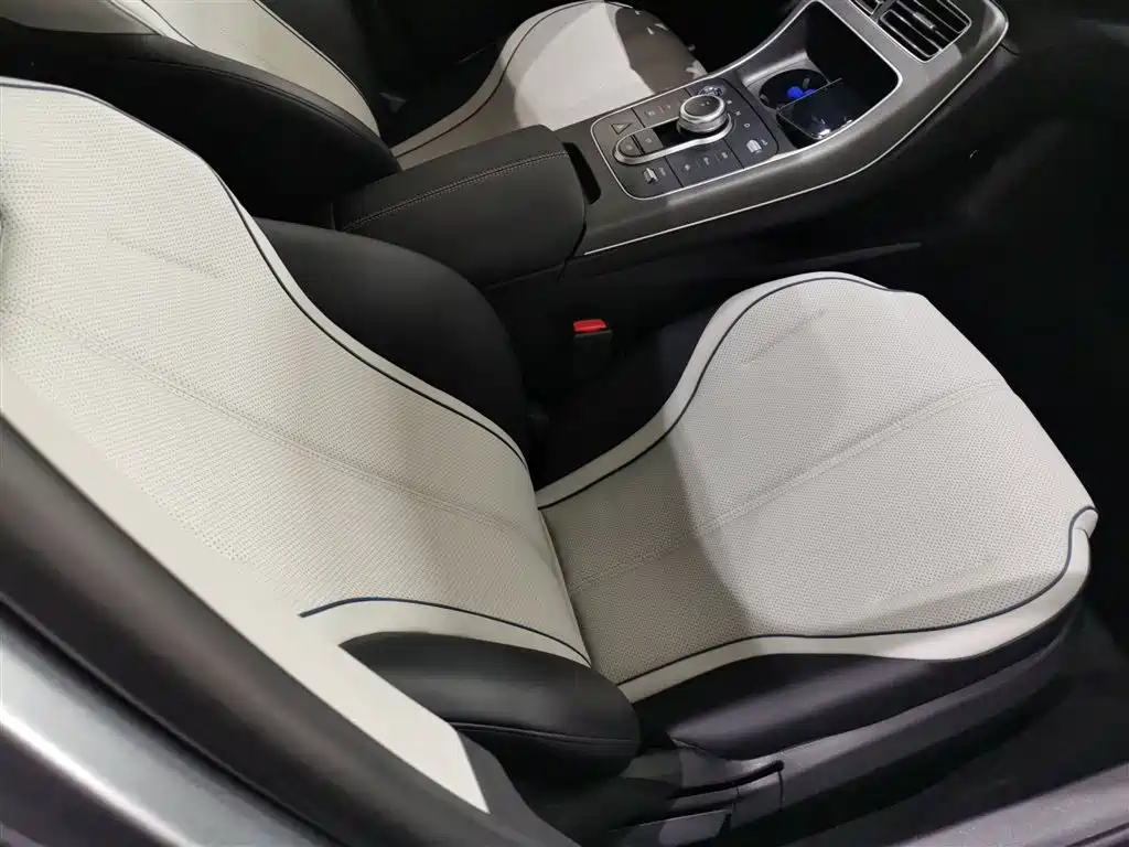 BYD Destroyer 05 2023 Champion Edition DM-i 55KM Luxury фото 25