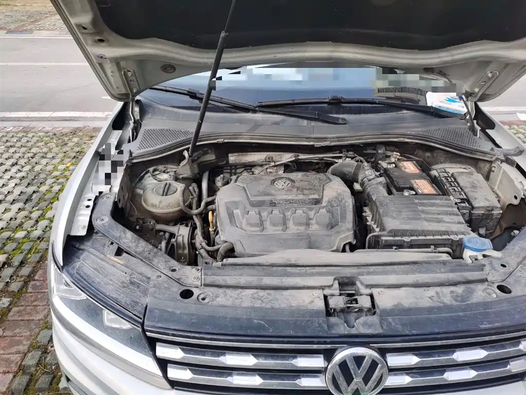 Volkswagen Tiguan L 2019 Facelift 330TSI Auto 2WD Panorama Comfort China VI фото 20