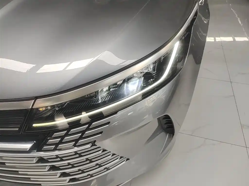 BYD Destroyer 05 2023 Model Champion Edition DM-i 120KM Luxury фото 24