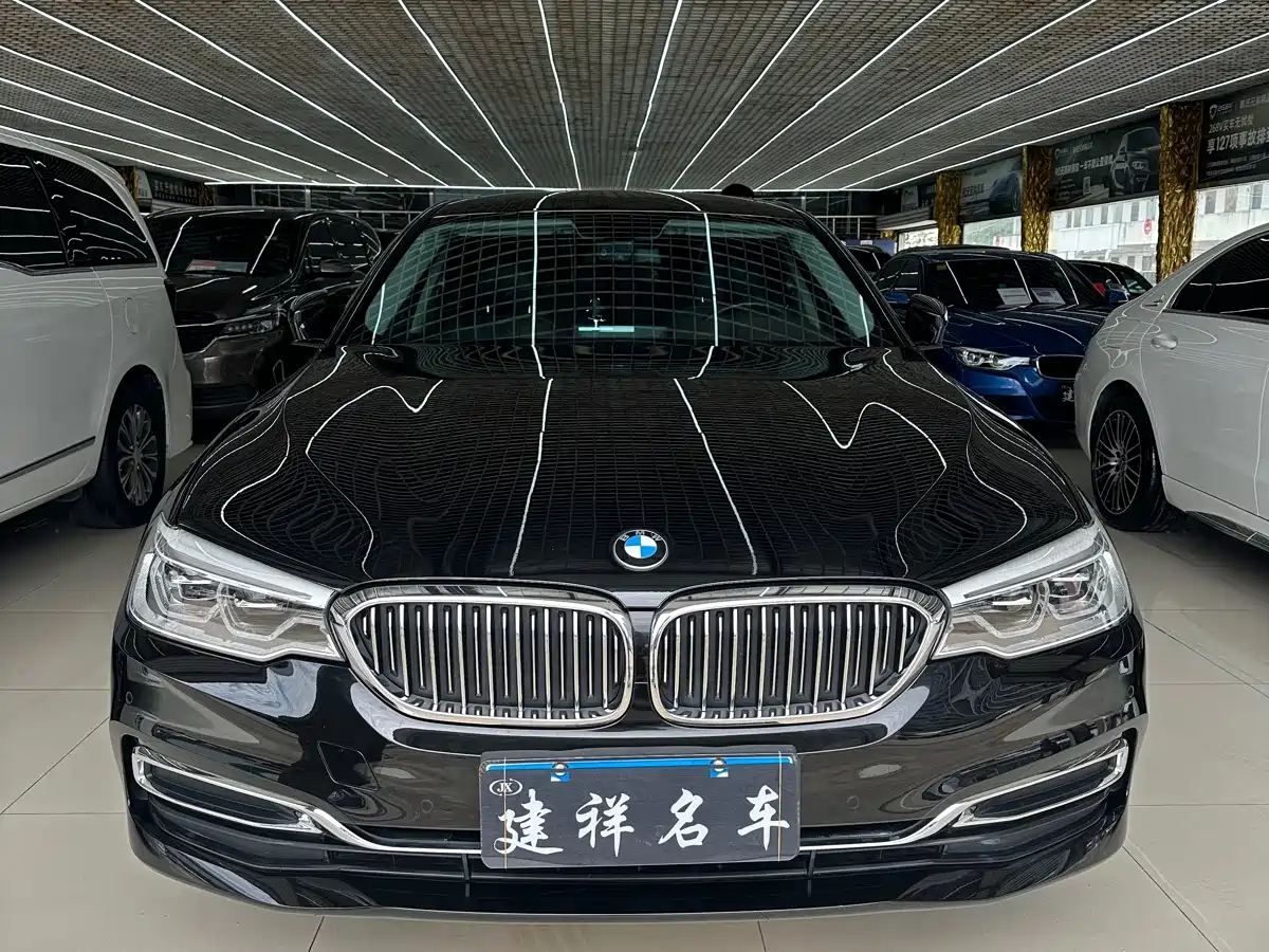 BMW 5 Series 2020 530Li Leading Luxury Package фото 2