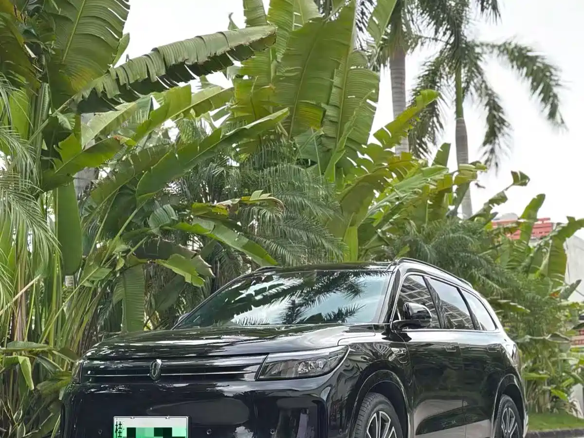 AITO Wenjie AITO M7 2024 1.5T Smart Drive RWD Pro 5-seater фото 6