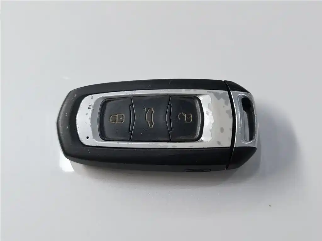 GEELY AUTOMOBILE BORUI NEW ENERGY