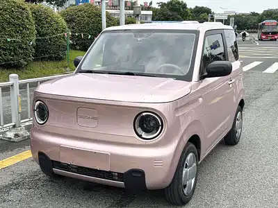 Geely Panda