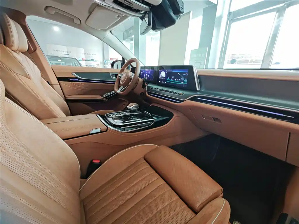 صورة 19 - Hongqi H9