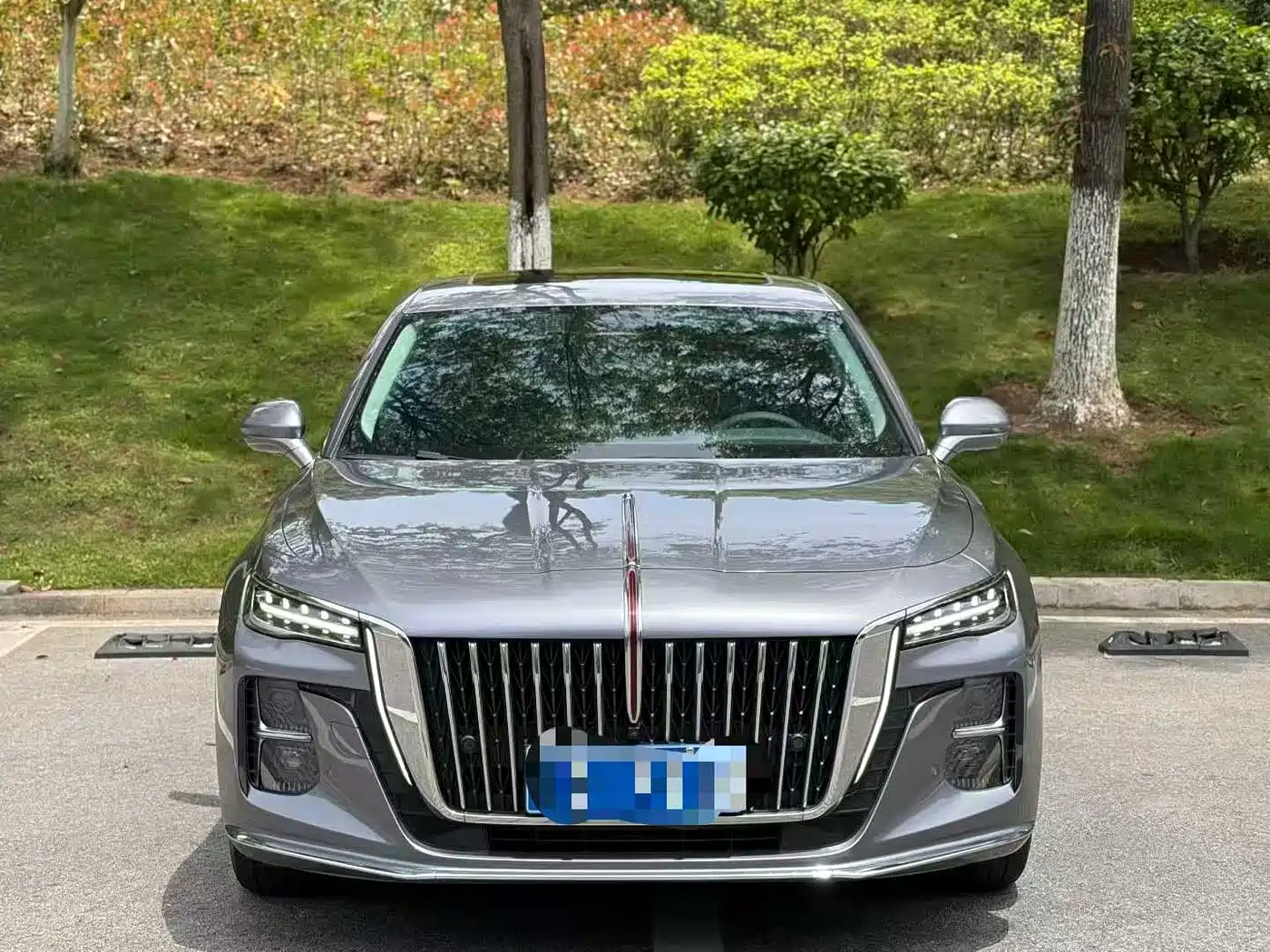 Hongqi H5 2023 2.0T Auto Smart Connect Flag Comfort фото 2